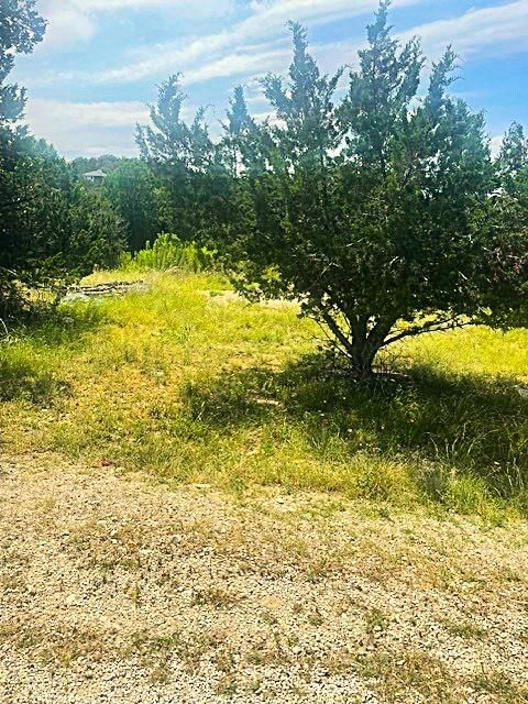 21217 Oak Dale DR Lago Vista TX 78645