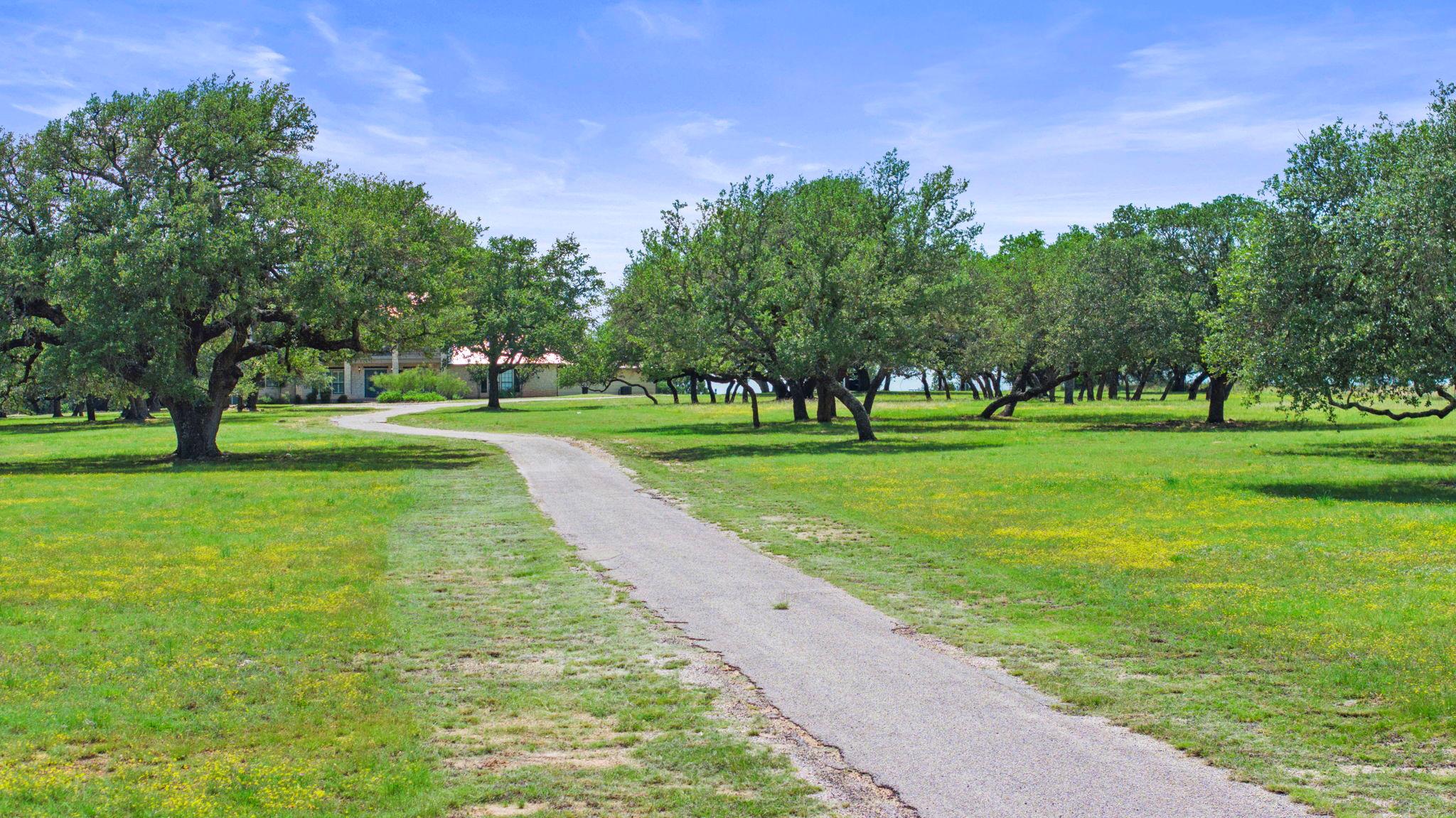 539 Oak Vista DR