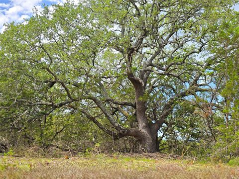 725 CR 206 Burnet TX 78611