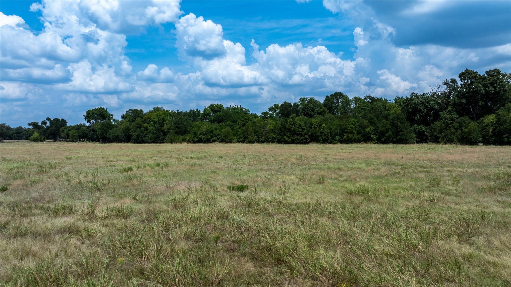 322 County Road 319
