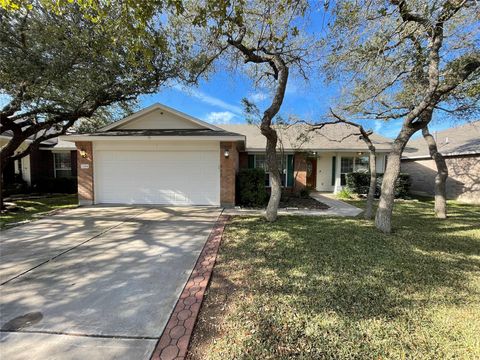 Photo of 3264 Arroyo Bluff LN, Round Rock, TX 78681 (MLS # 7355155)
