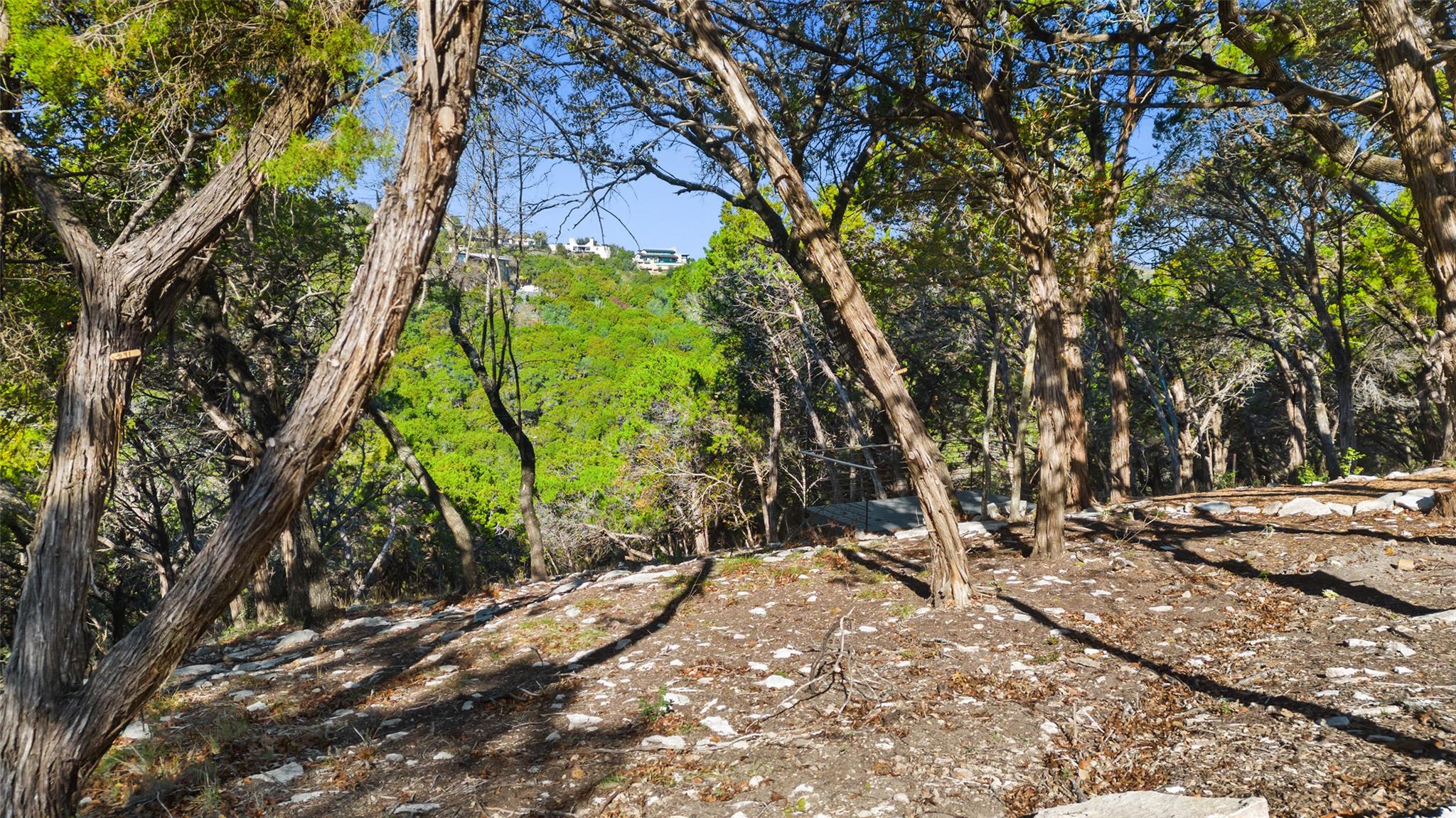 3 Martelli LN