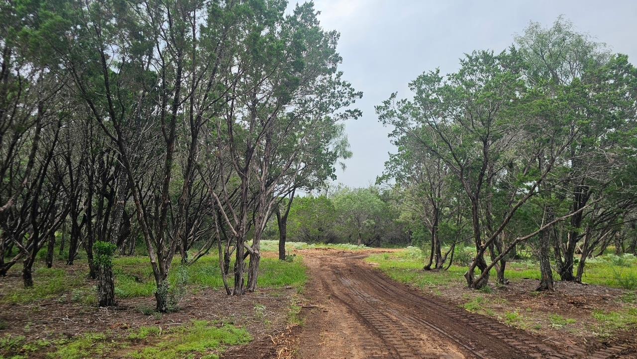 00 County Road 119