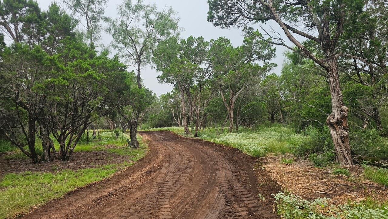 00 County Road 119