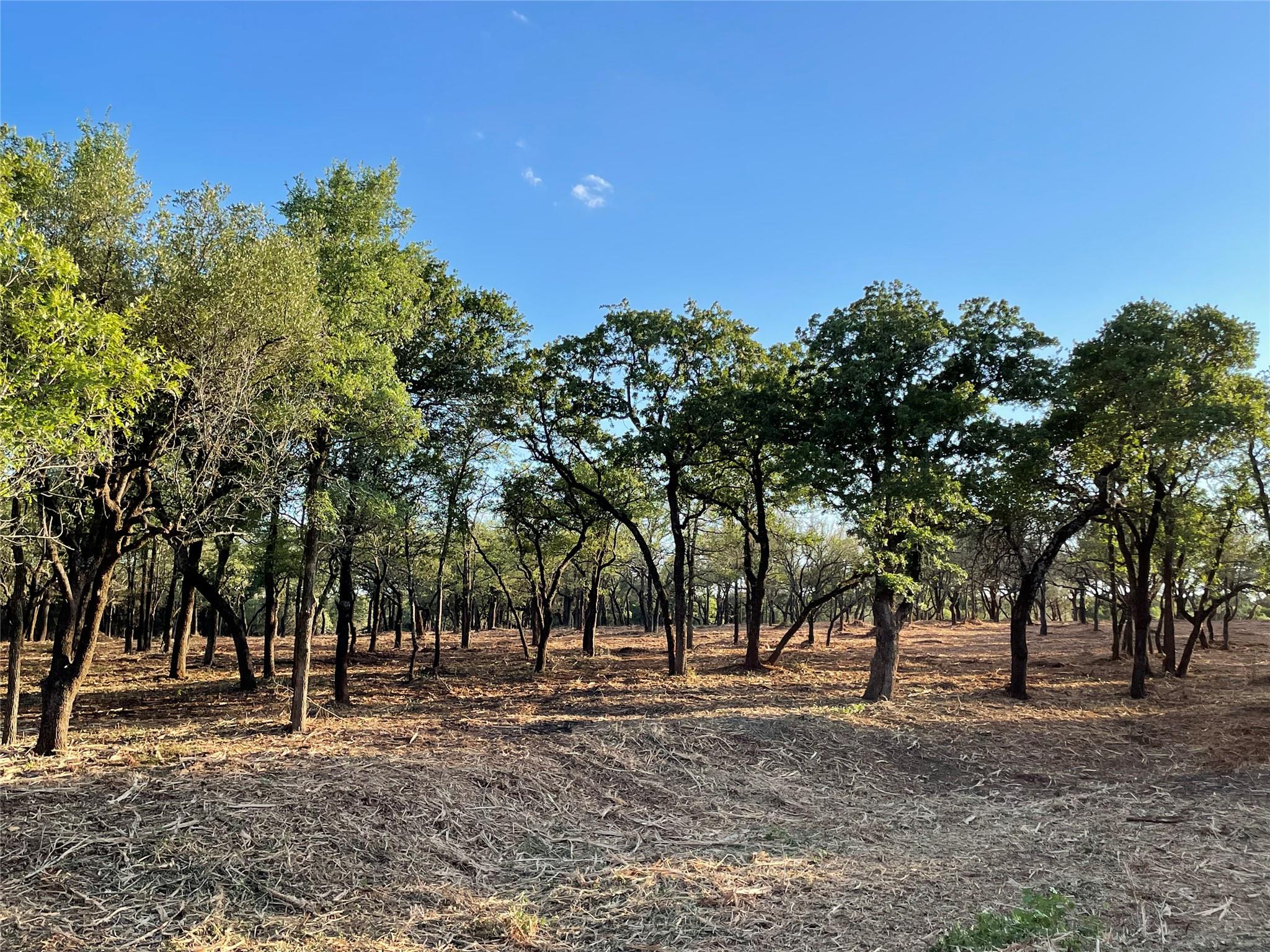 10960 FM 1602 Highway