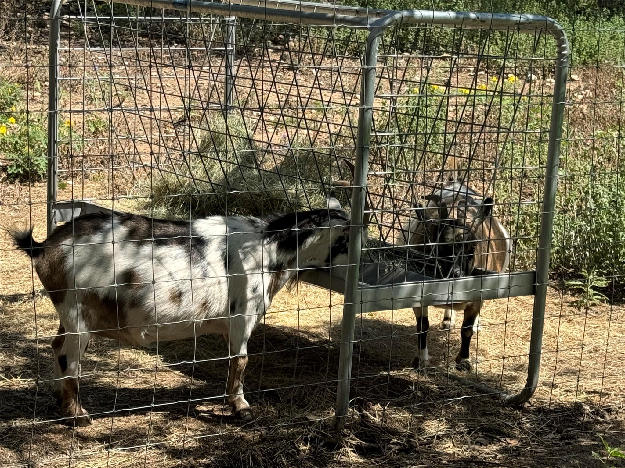 Johnson City, Texas 78636, United States, ,Commercial,Active,57327