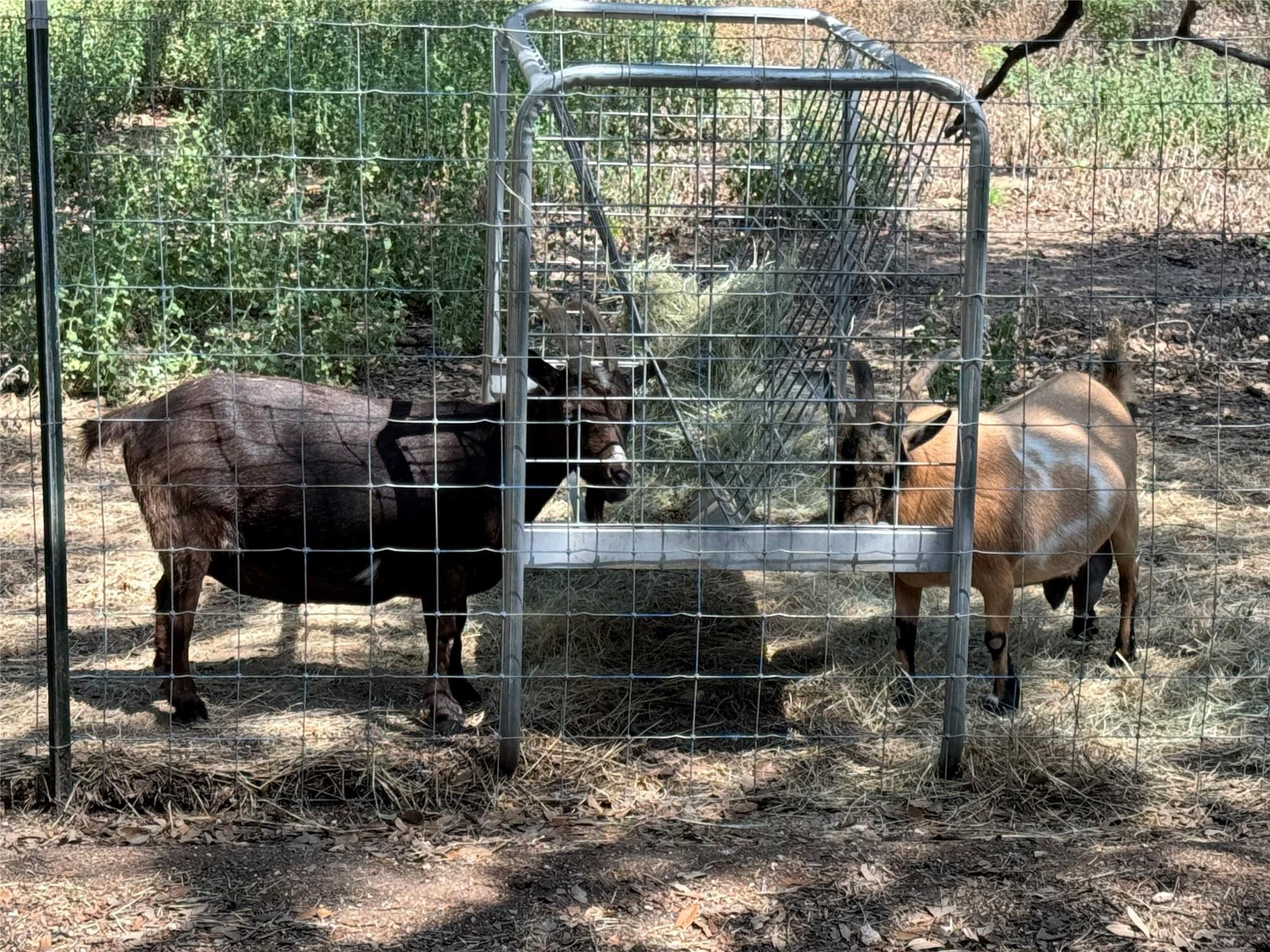 Johnson City, Texas 78636, United States, ,Commercial,Active,57327