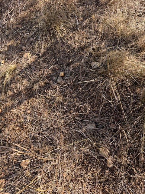 Photo of Lot 539 Kaaawa LN, Bastrop, TX 78602 (MLS # 8517664)