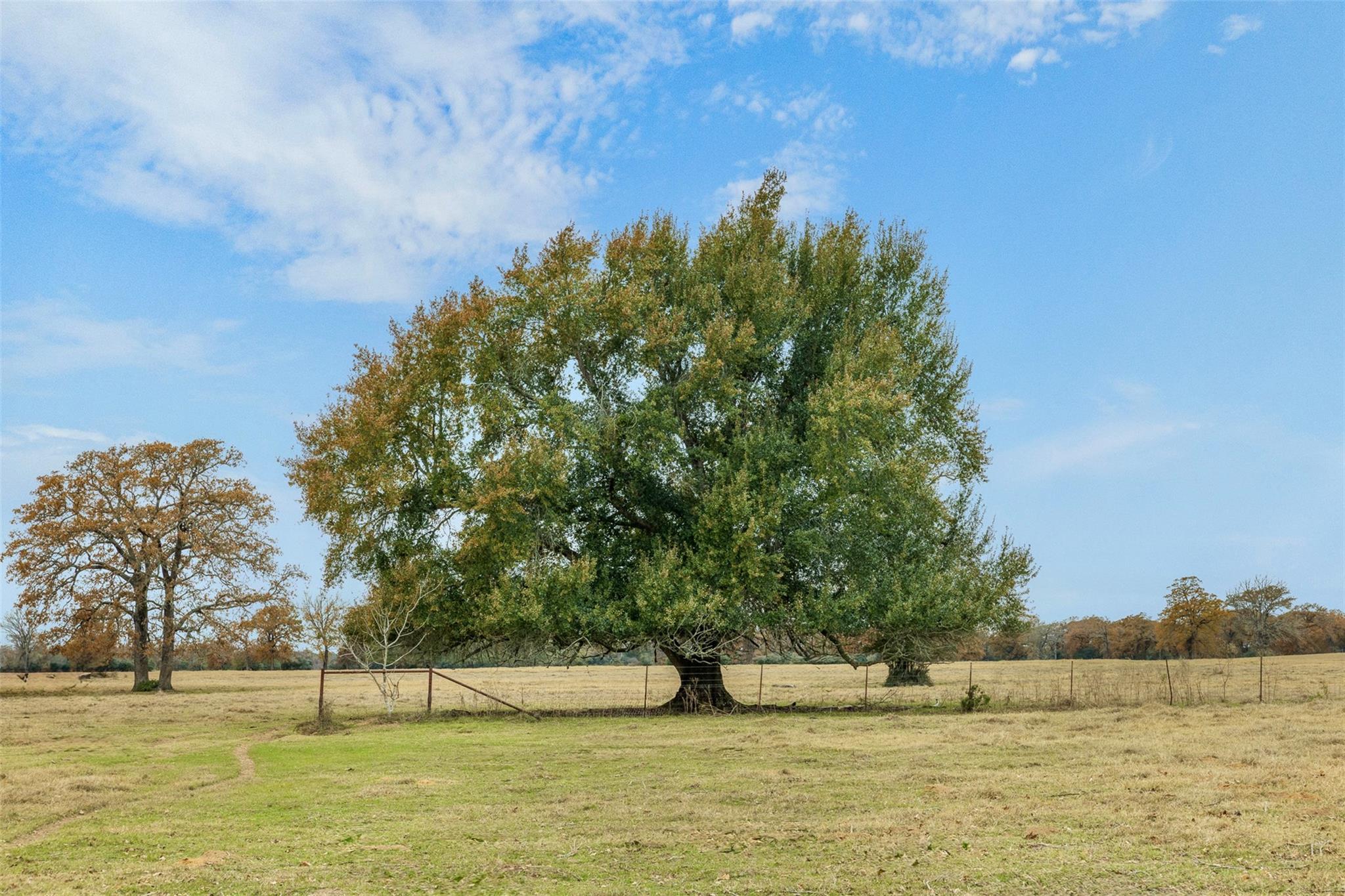 2150 County Road 412