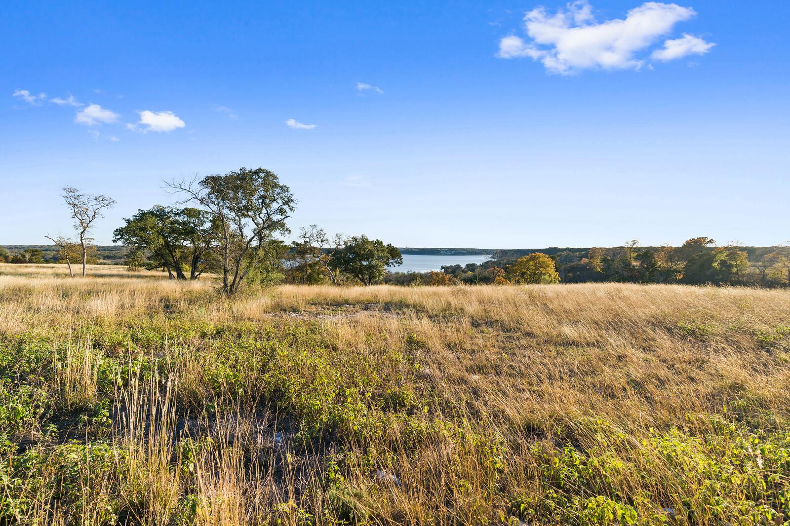 10124 Sweet Lilly TRL