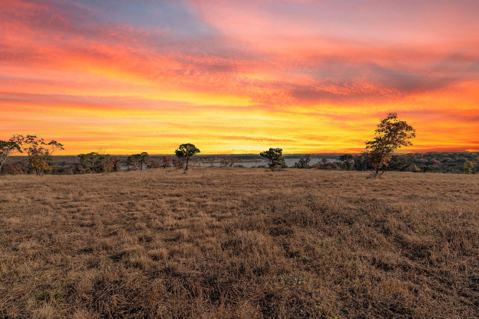 10124 Sweet Lilly TRL