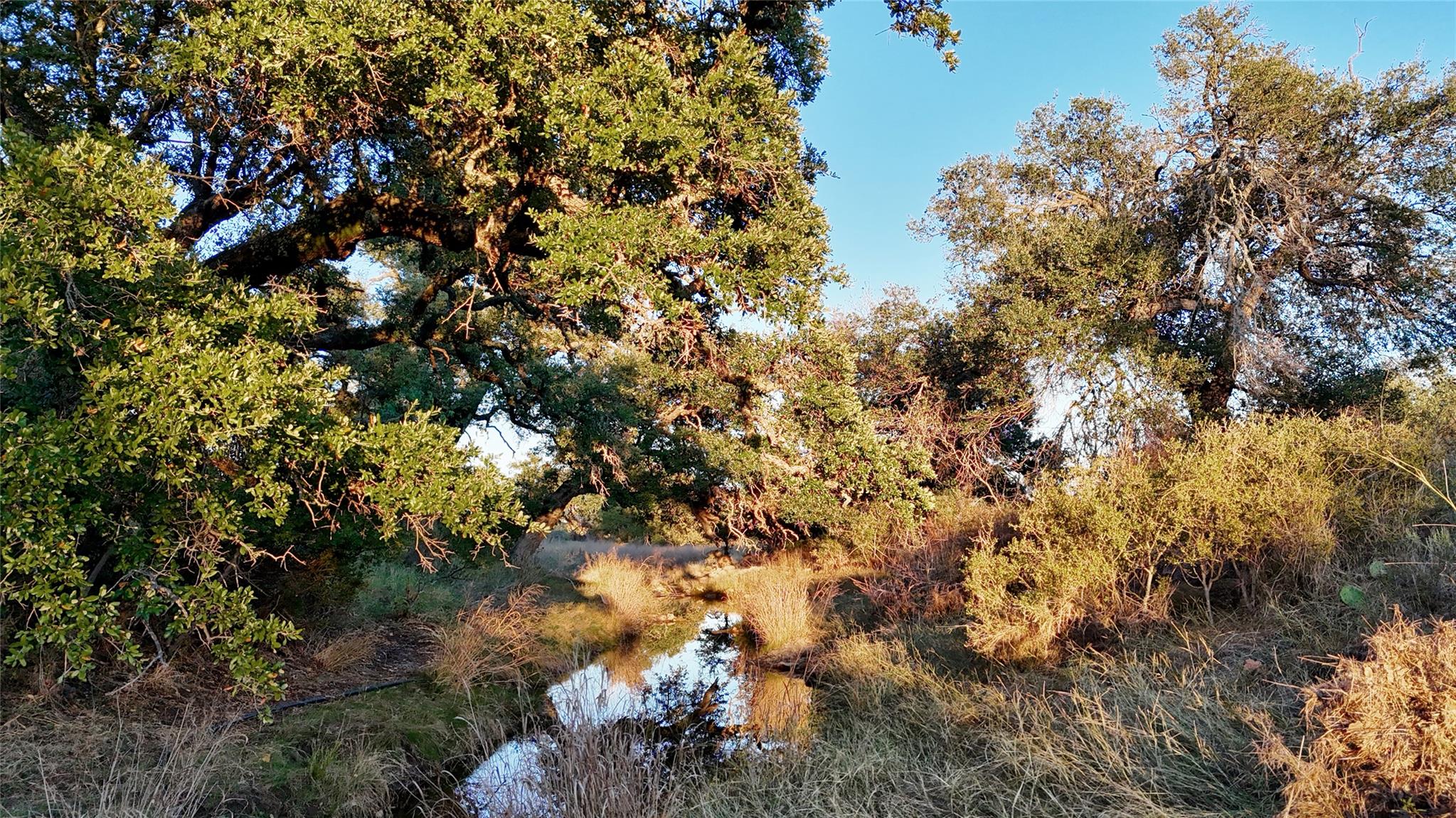 6540 County Road 409