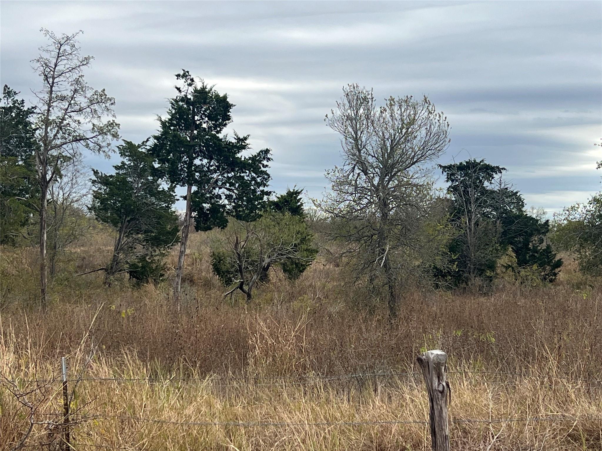 2500 NE County Road 466 DR