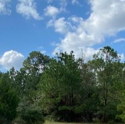 230 Cougar Park RD Hunt TX 78024