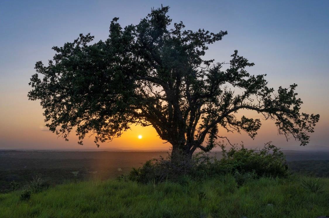 Lot 10 - 12.6 Acres - Round Mountain Reserve DR