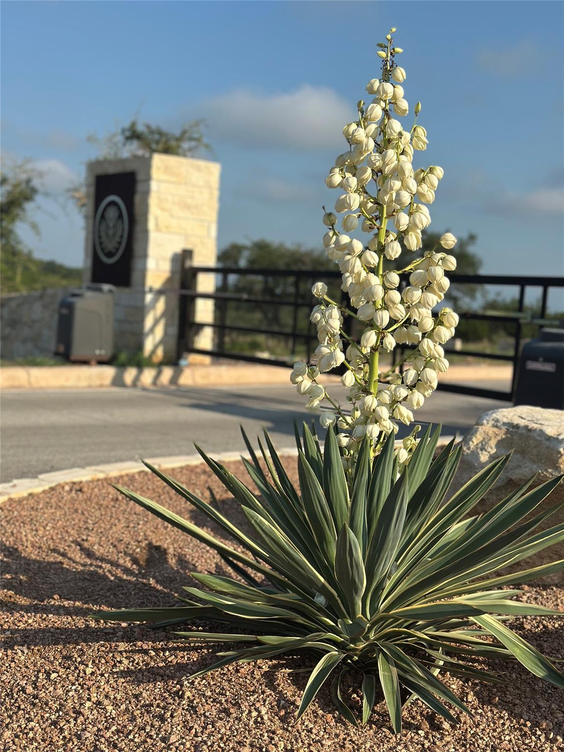 Lot 10 - 12.6 Acres - Round Mountain Reserve DR