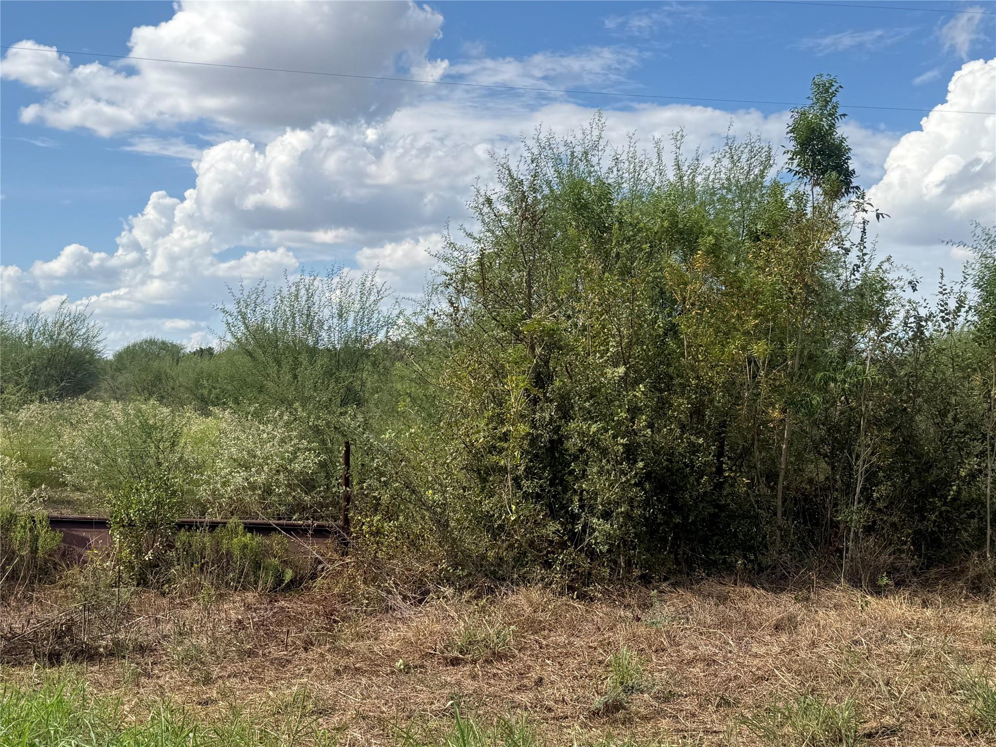 TBD Wilke RD