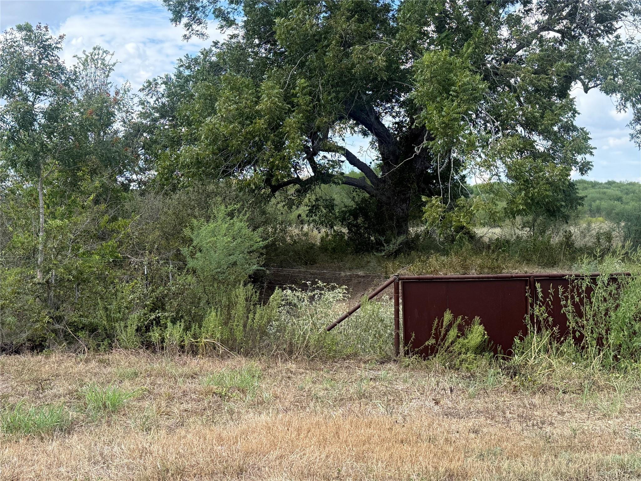 TBD Wilke RD