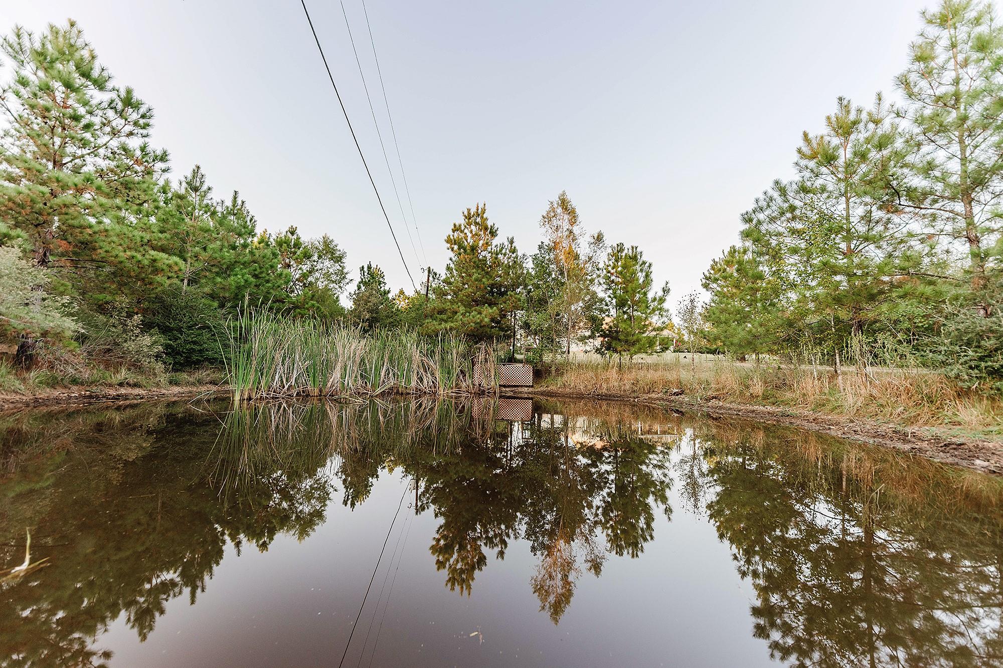 139 Village Forest DR