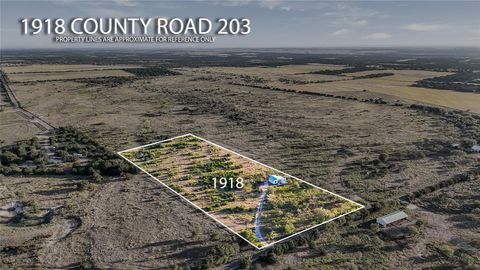 1918 County Road 203 Burnet TX 78611