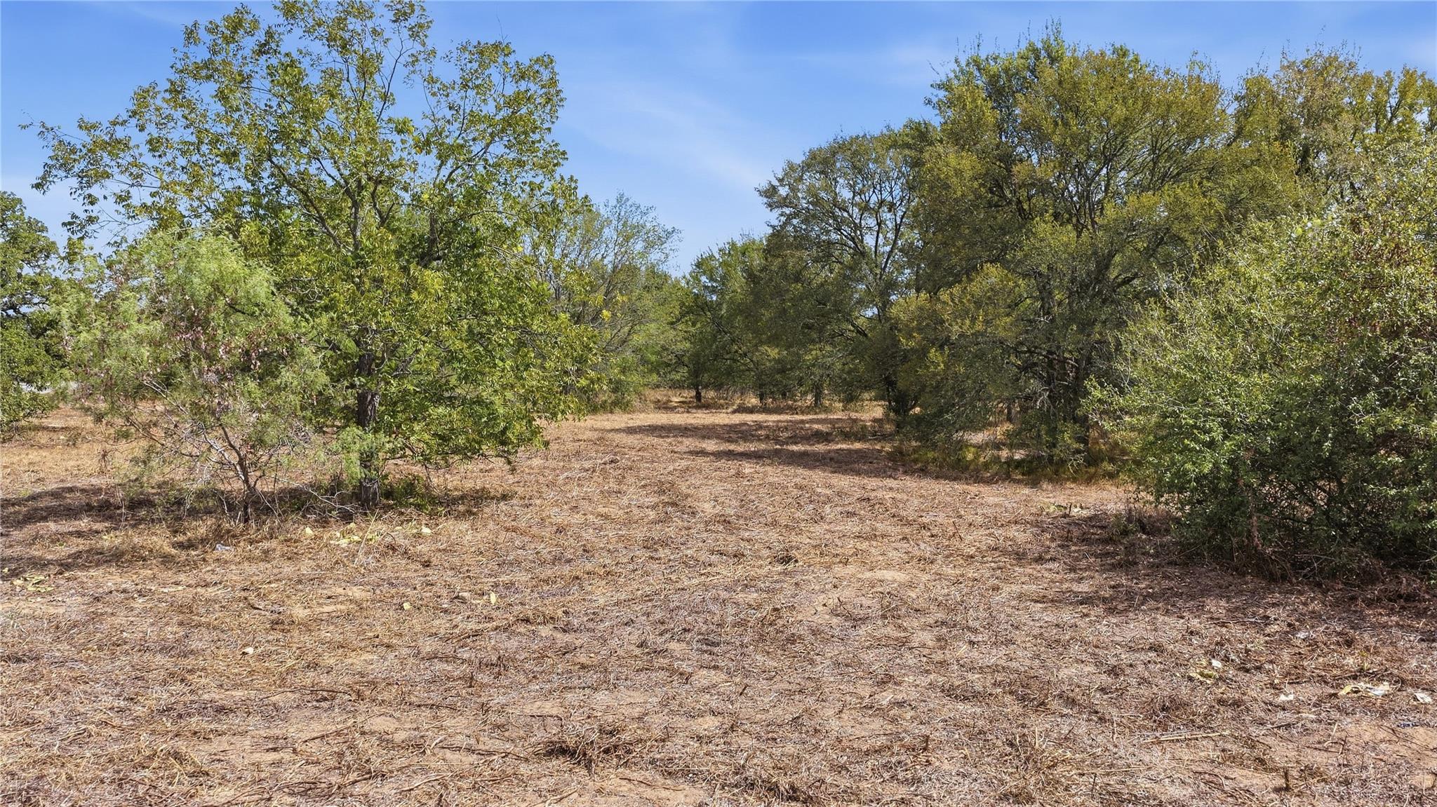 TBD HWY 304