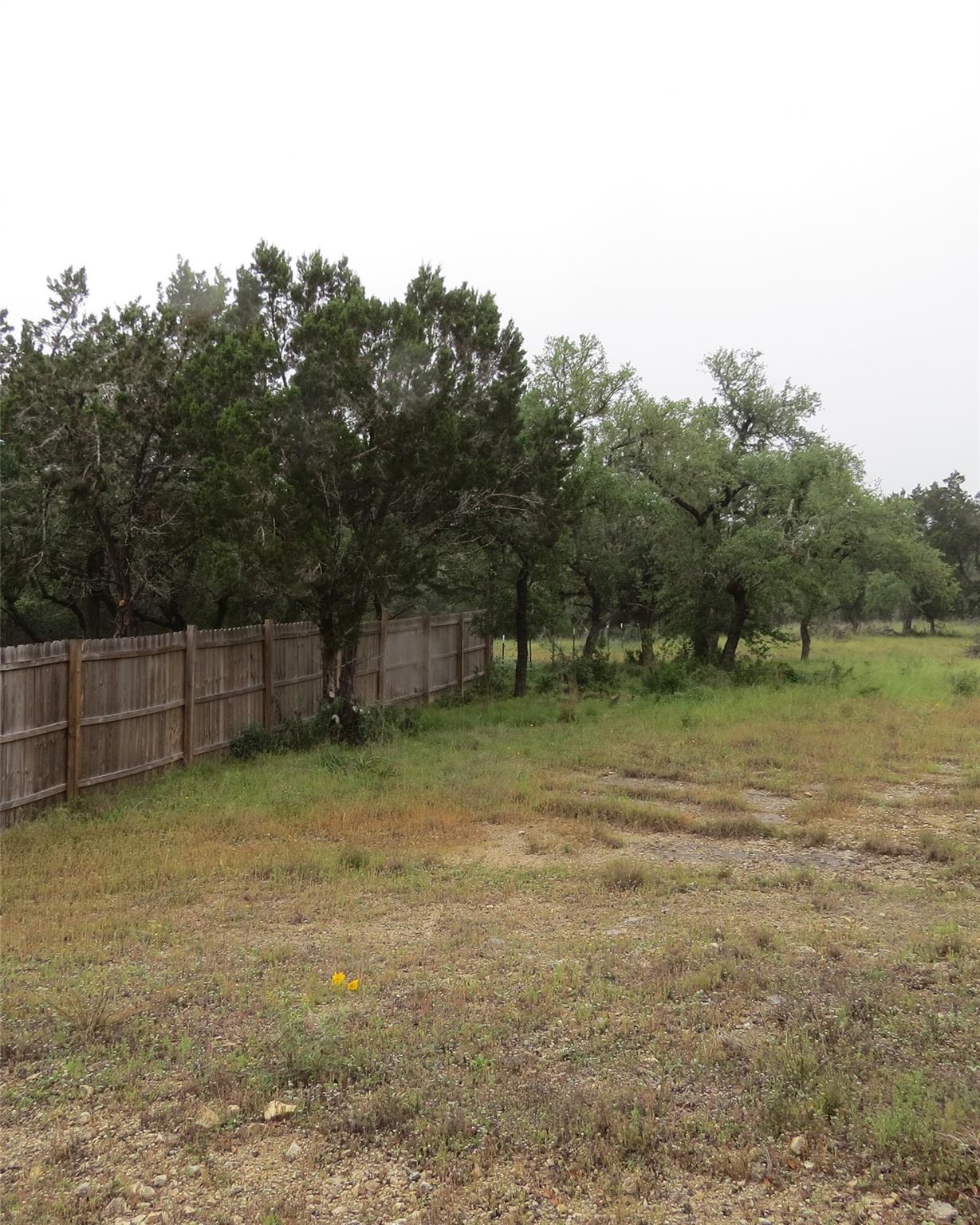 12 Pecos DR