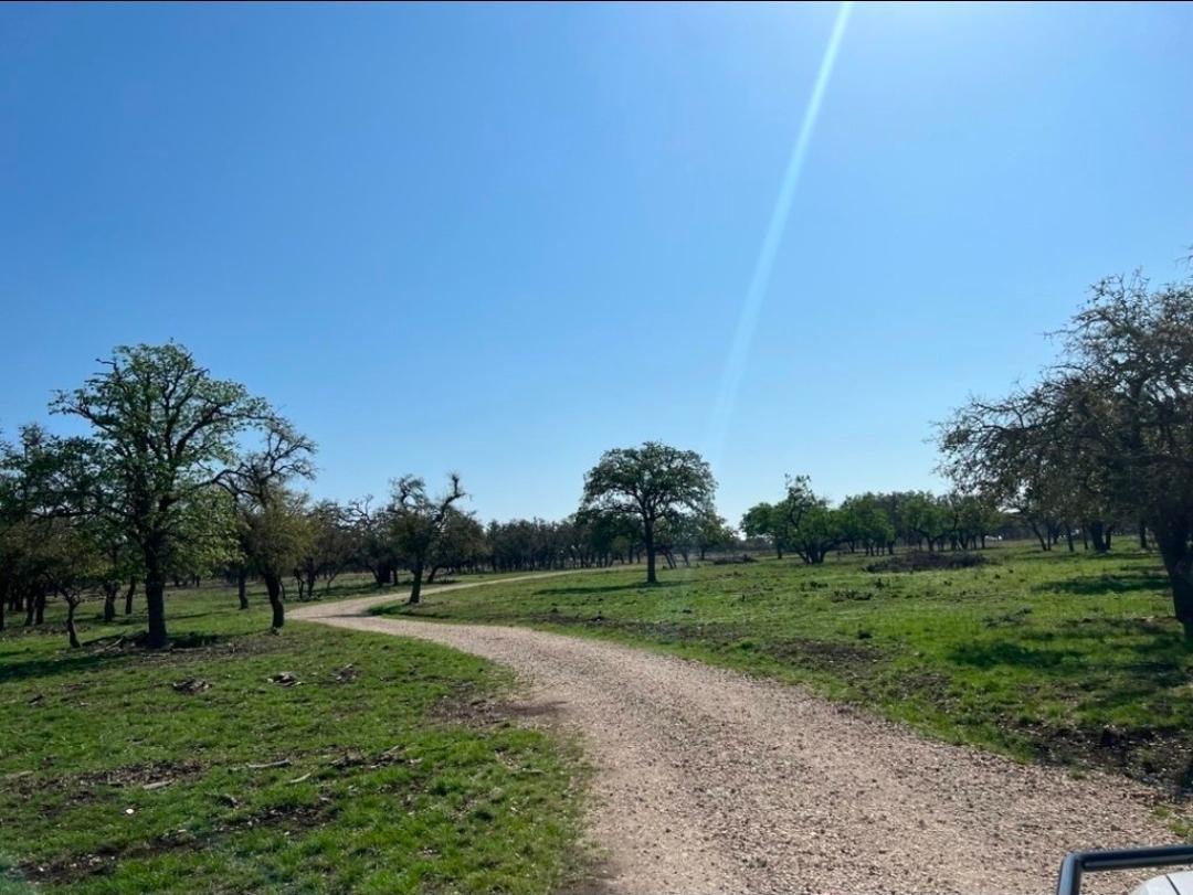 TBD CROOKED TREE CIR