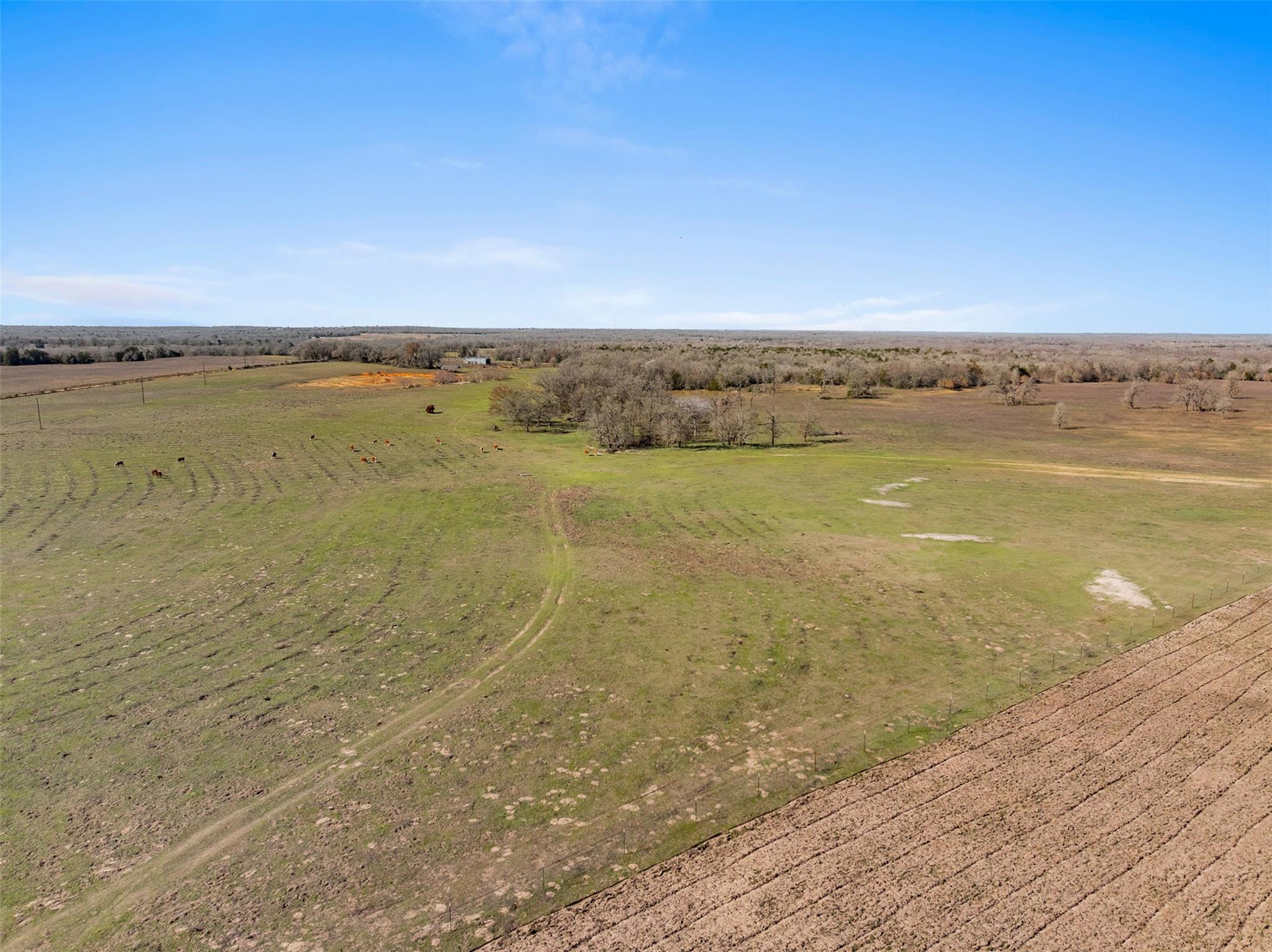95 AC +/- County Road 234