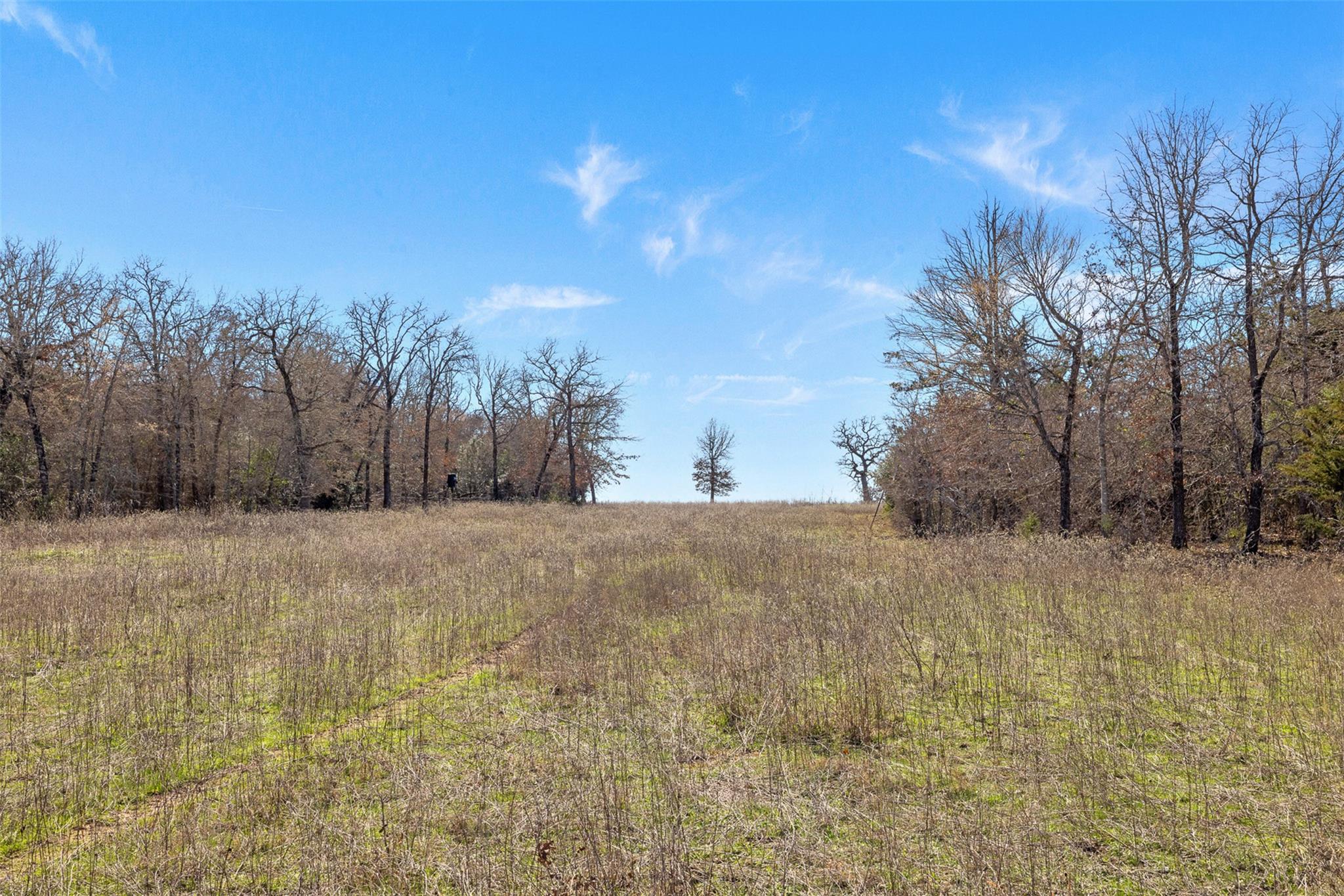 95 AC +/- County Road 234