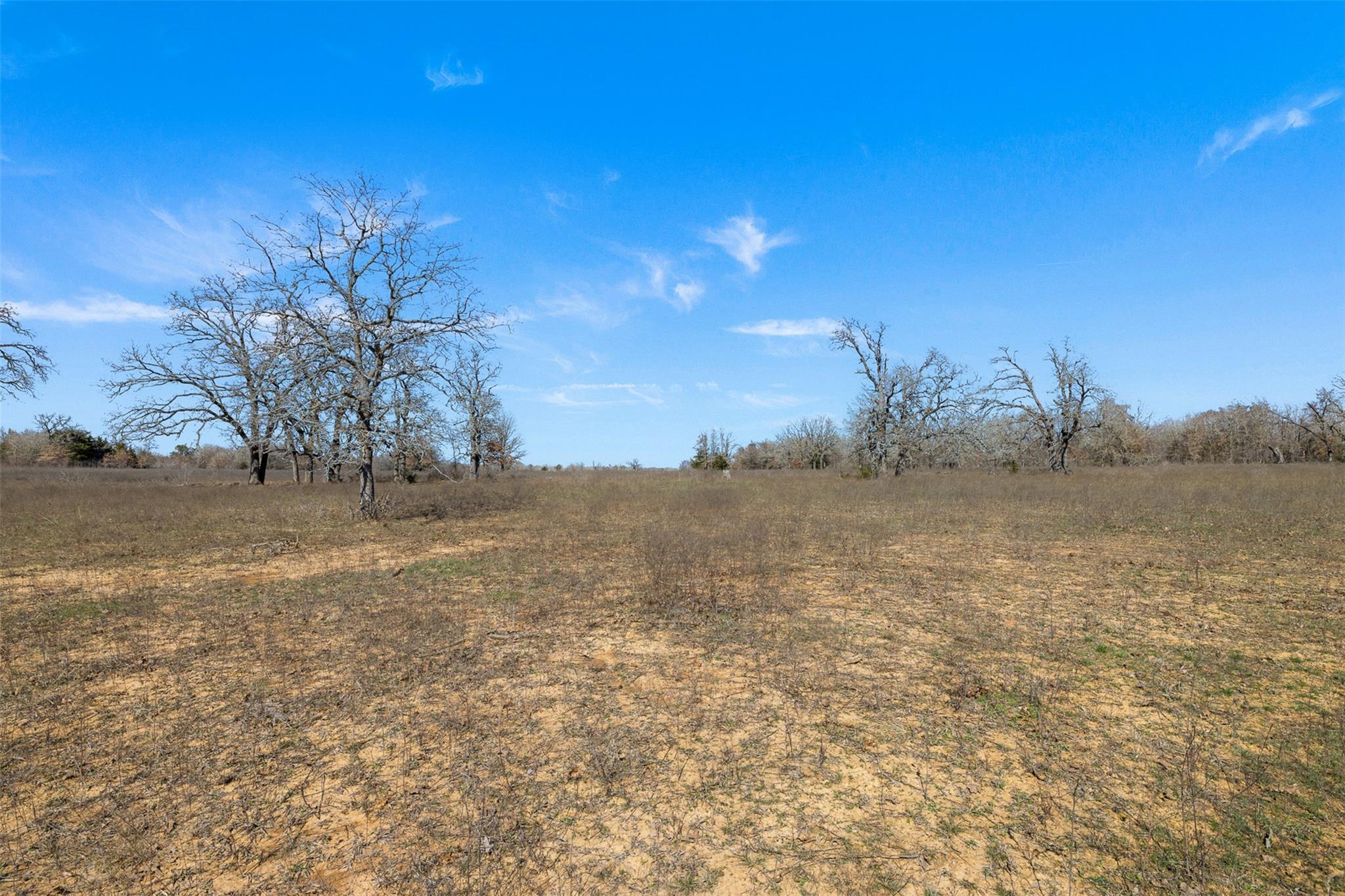 95 AC +/- County Road 234