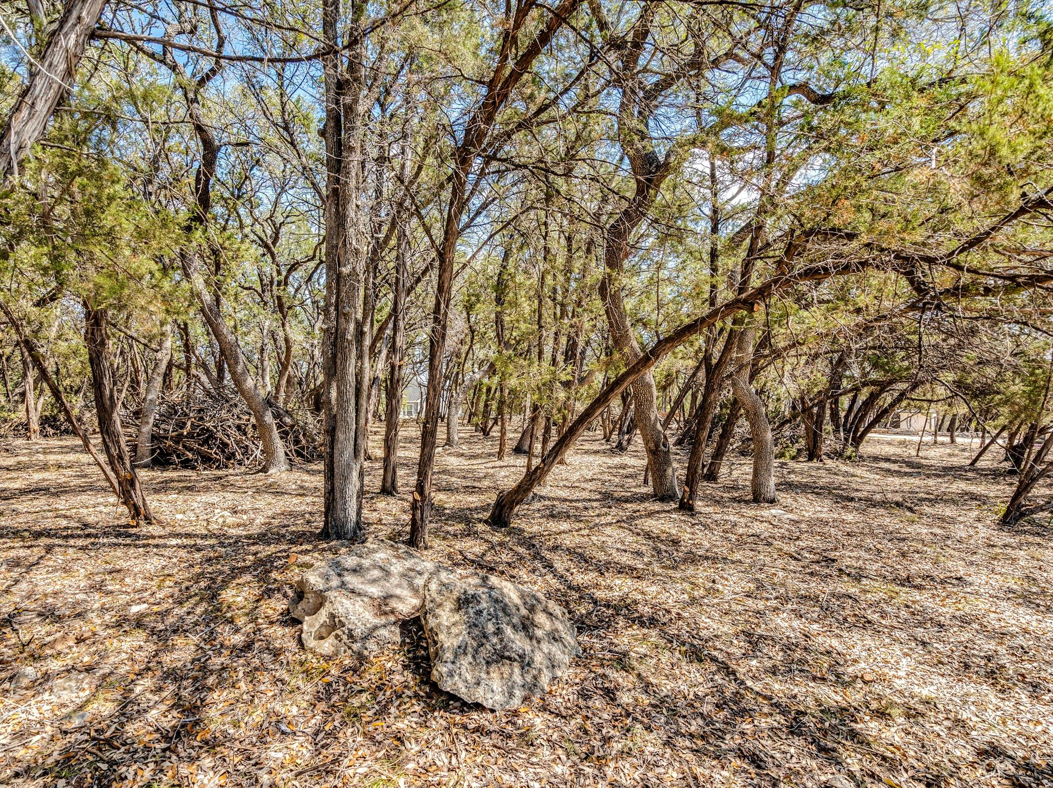 2 Agave CT