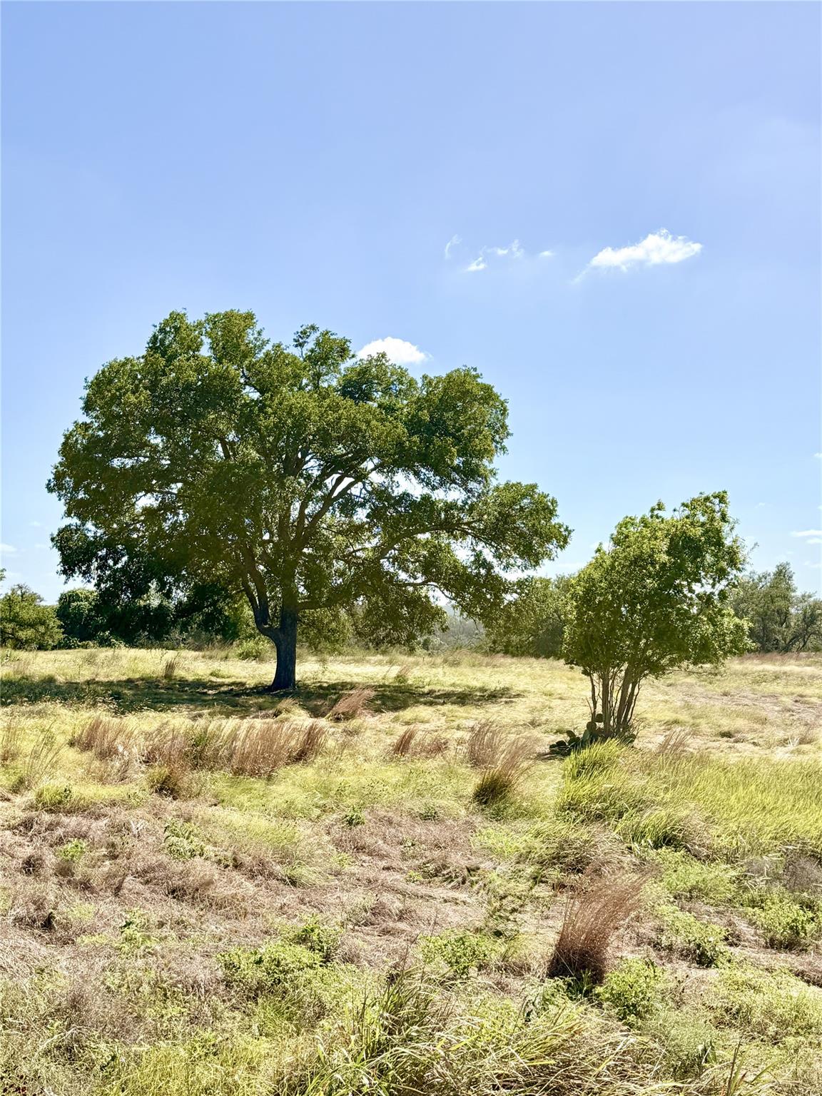 Lot 91 Axis CIR