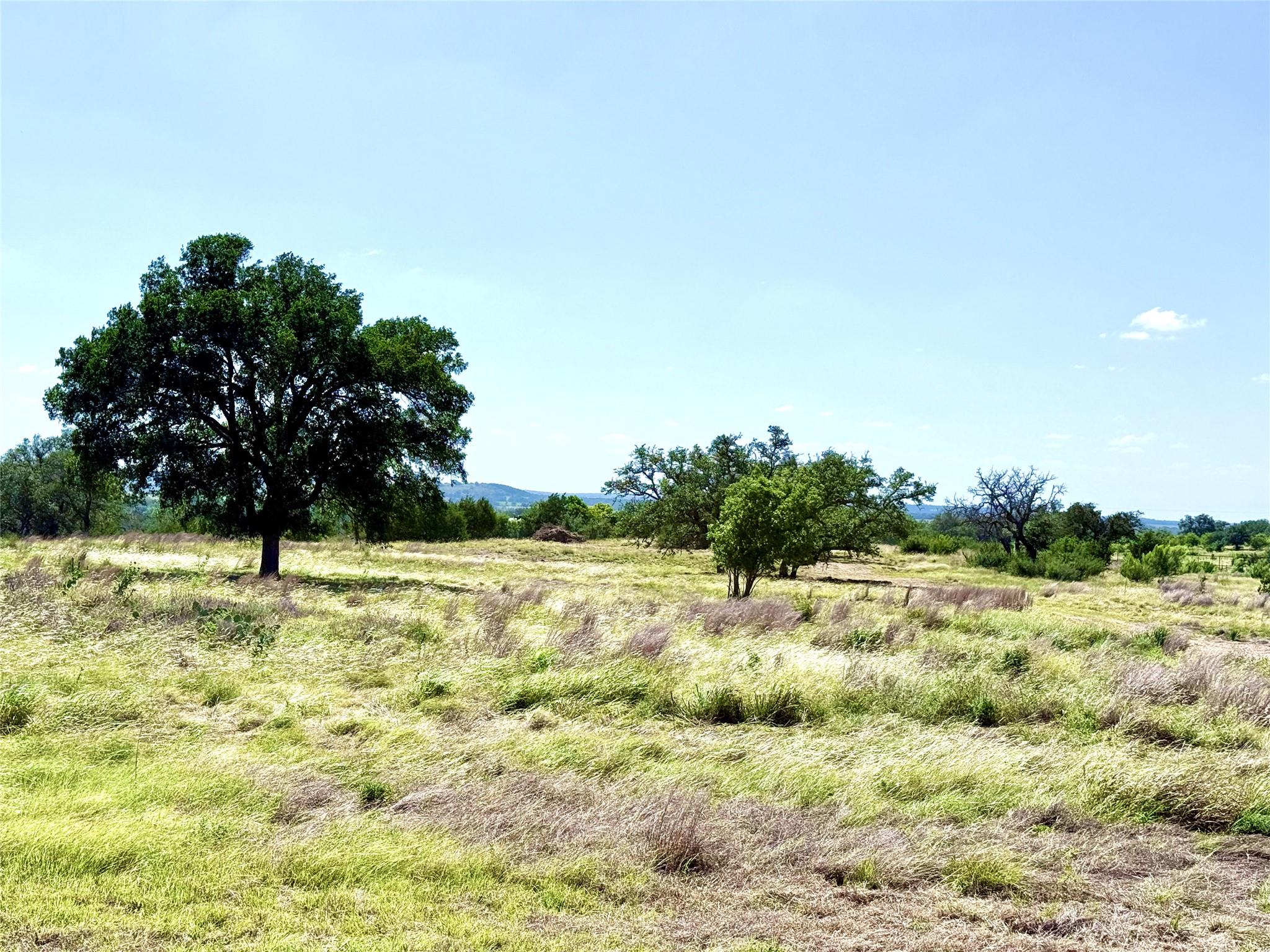 Lot 91 Axis CIR