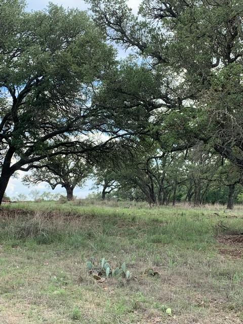 Lot 22 Buck RUN