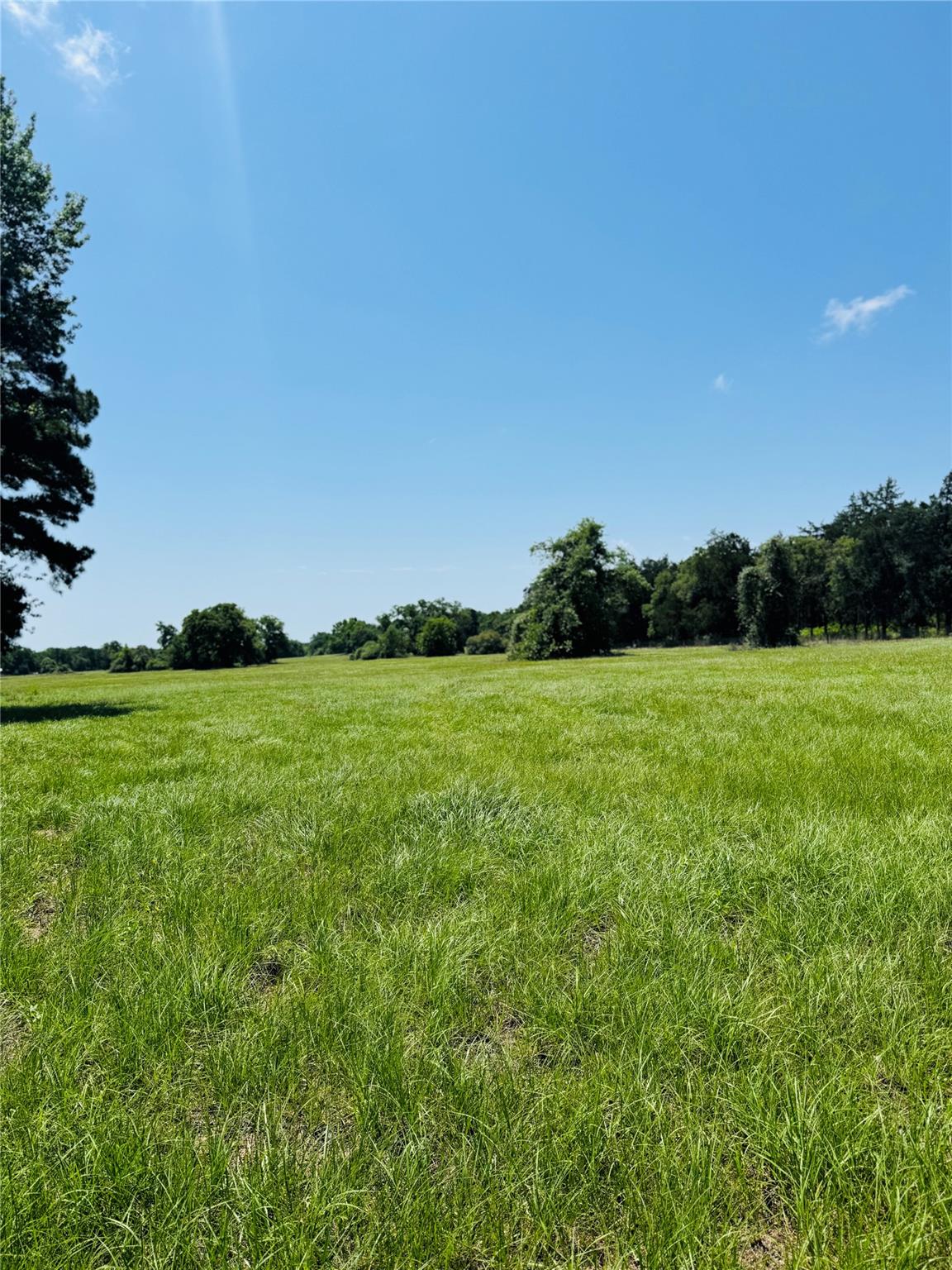 0000 West County Road 415 RD