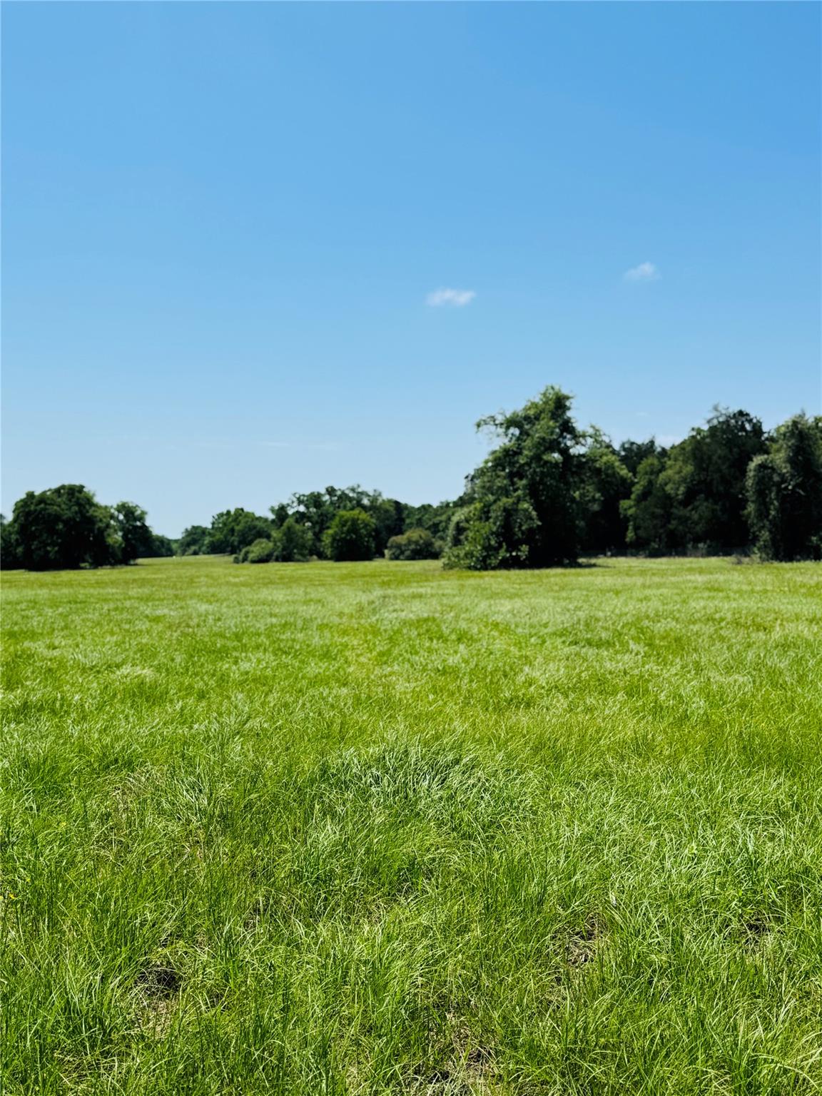 0000 West County Road 415 RD