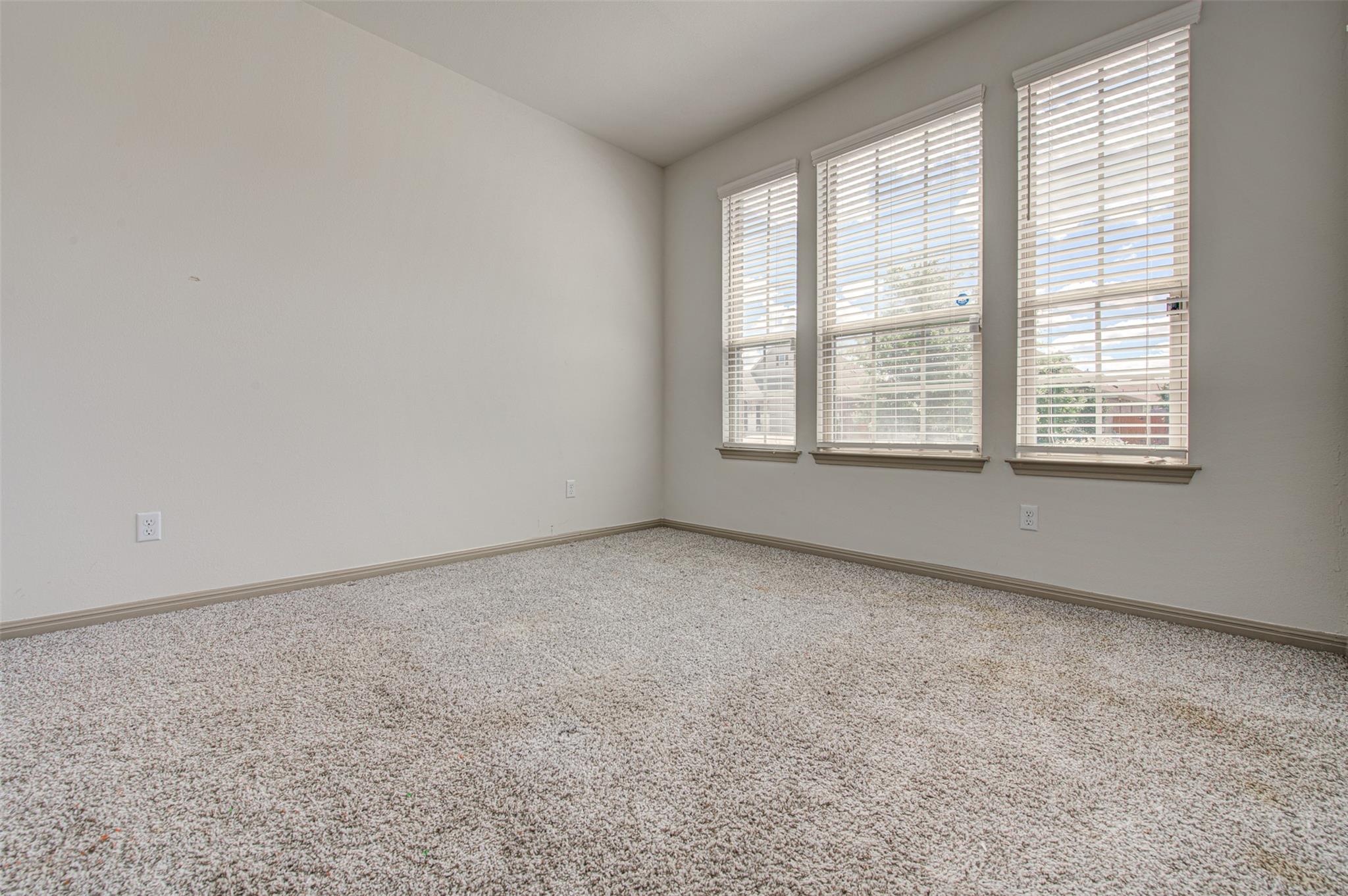 286 Spinnaker LOOP