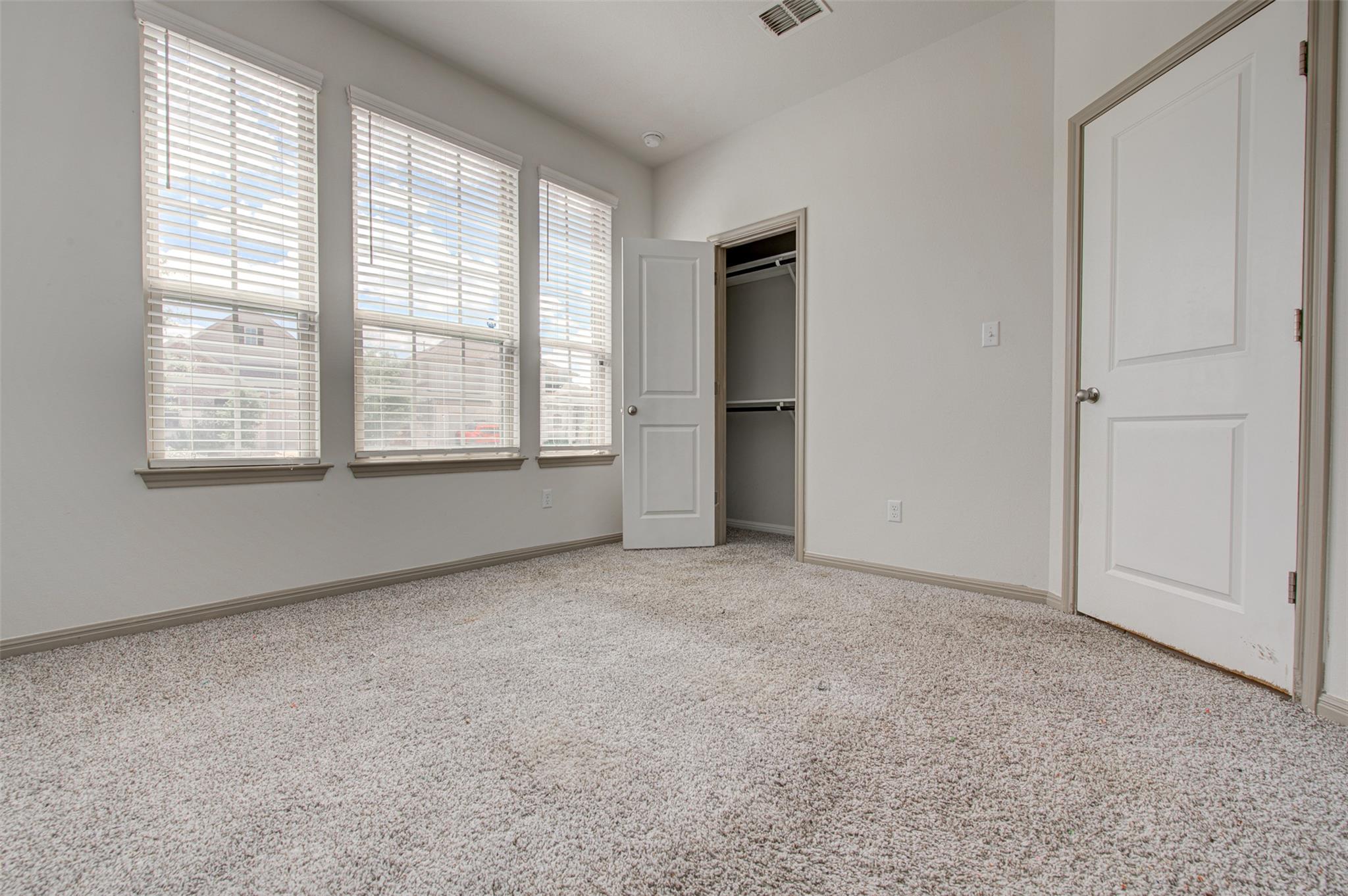 286 Spinnaker LOOP
