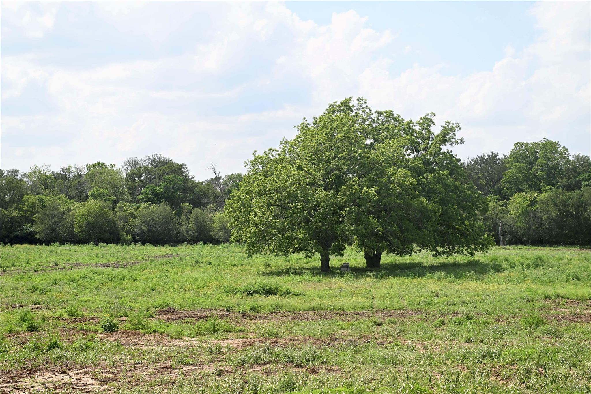 Lot 5 Valley Creek DR