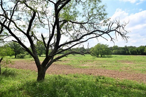 Photo of Lot 5 Valley Creek DR, Cedar Creek, TX 78612 (MLS # 3638074)