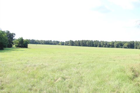 Photo of None County Road 3401, Crockett, TX 75851 (MLS # 4945869)
