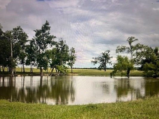 1351 COUNTY ROAD 320, GRANGER, TX 76530 - Image b8f94ef0bd3ad2eb4ac3c9a59d5aab1f/2382170503