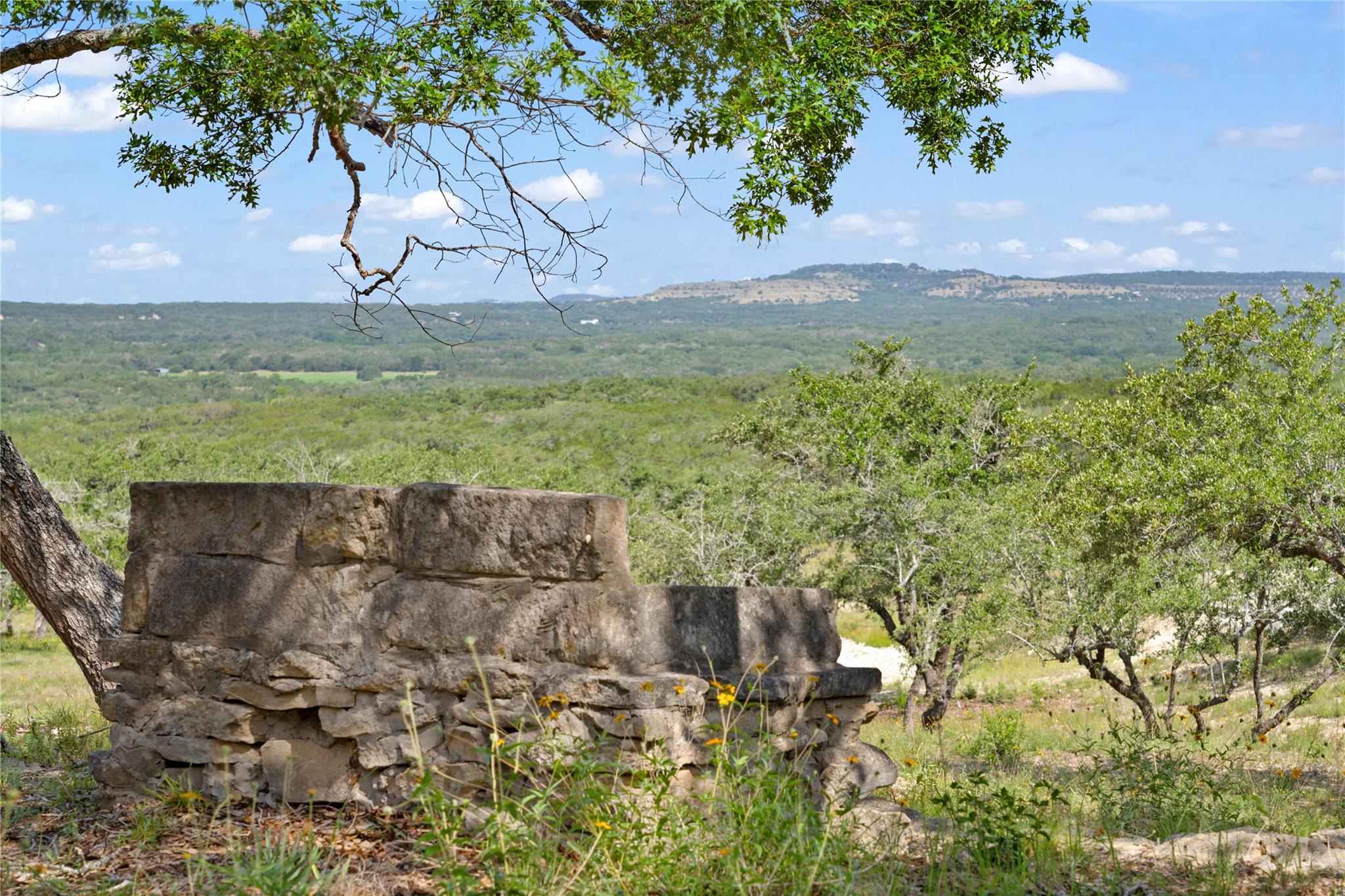 TBD Farm to Market 2325 RD