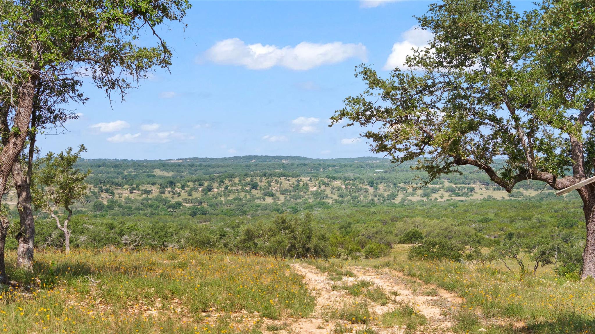 TBD Farm to Market 2325 RD