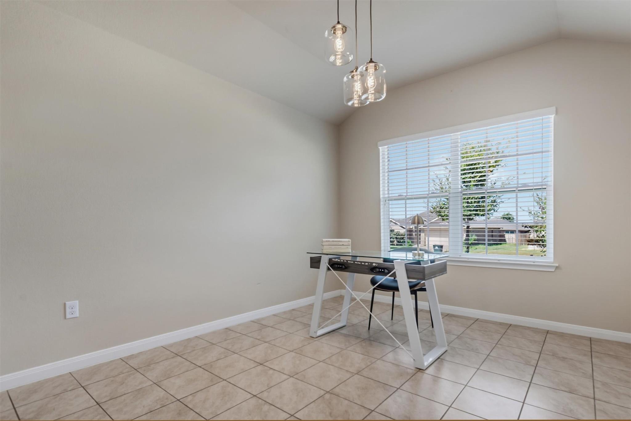176 Dusky Thrush DR