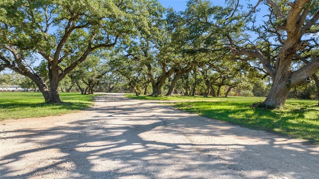 7400 Ranch Road 12 RD