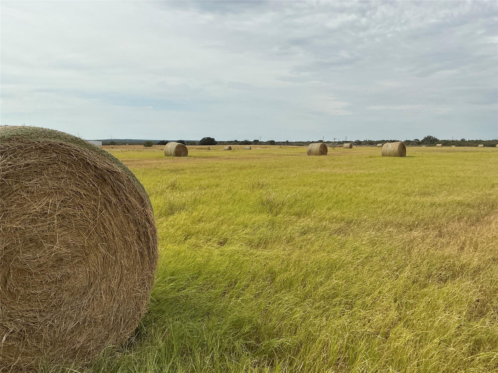 4315 County Road 226