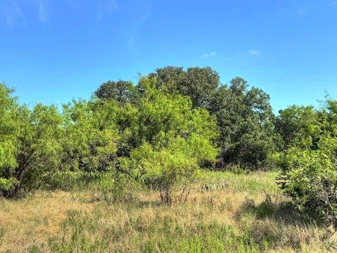 Lot 1 US Hwy 190 Highway