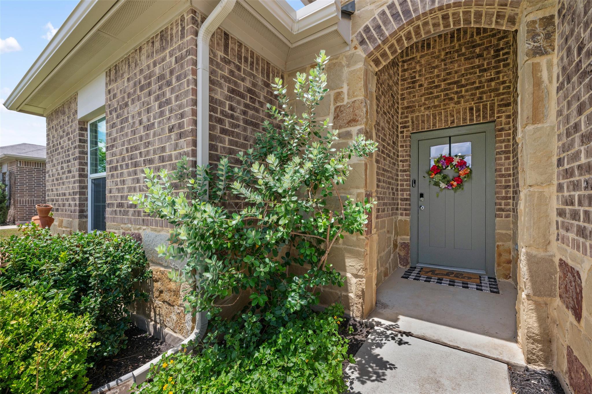 316 Shiner LN