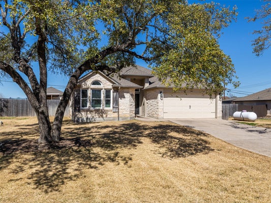 208 S BUFFALO PASS, GEORGETOWN, TX 78633 - Image bb4a3bd309e5db61dda1ebe9cb79f021/1299857558